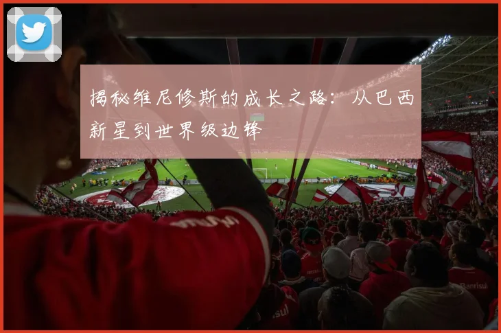 揭秘维尼修斯的成长之路：从巴西新星到世界级边锋